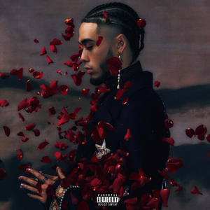 欲梦小葡萄是什么
