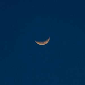 欲梦小葡萄是什么
